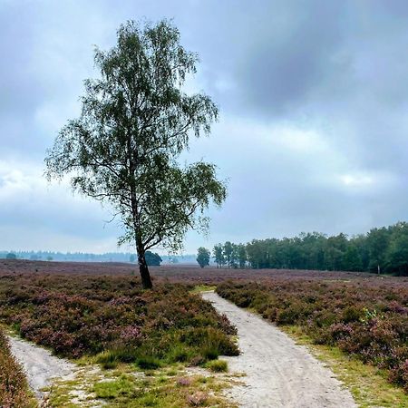 Huisje Aan De Bosrand - Veluwe Epe Luaran gambar