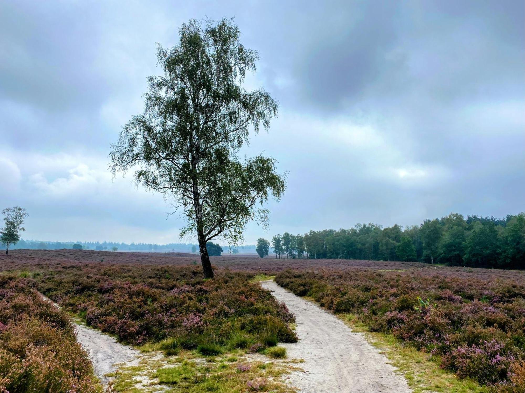 Huisje Aan De Bosrand - Veluwe Epe Luaran gambar