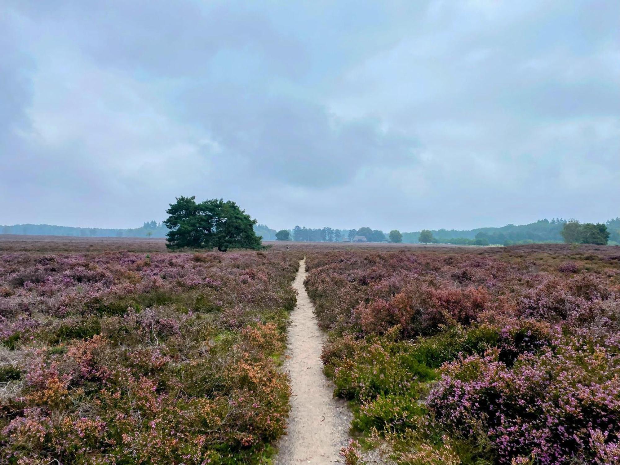 Huisje Aan De Bosrand - Veluwe Epe Luaran gambar